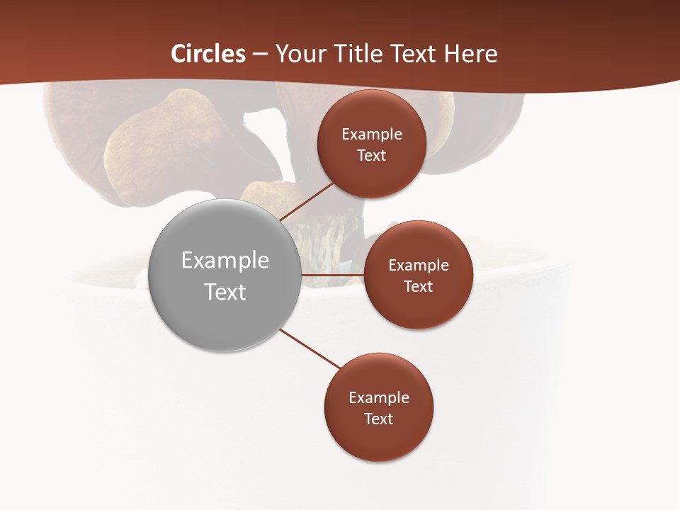 Mushroom Chinese Nature PowerPoint Template