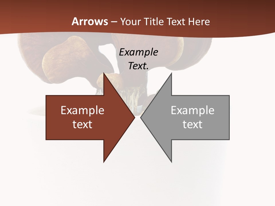 Mushroom Chinese Nature PowerPoint Template