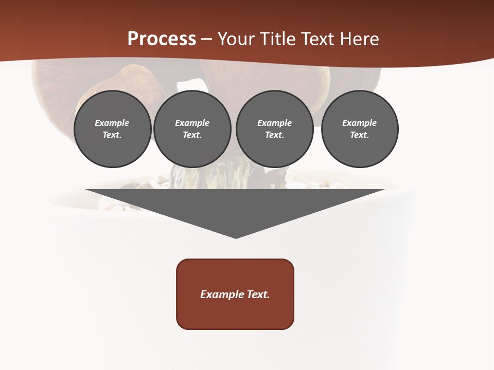 Mushroom Chinese Nature PowerPoint Template