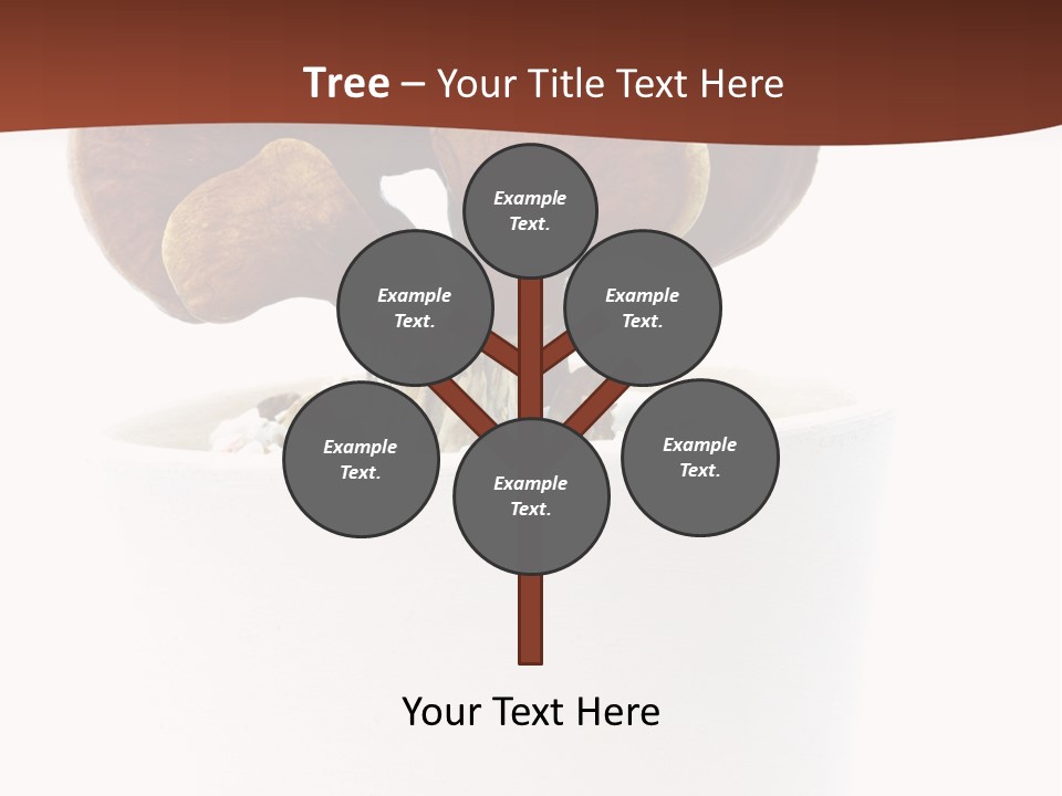 Mushroom Chinese Nature PowerPoint Template