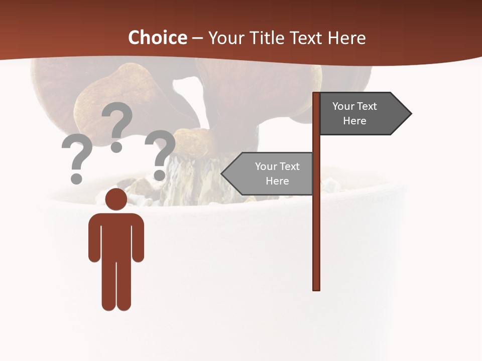 Mushroom Chinese Nature PowerPoint Template