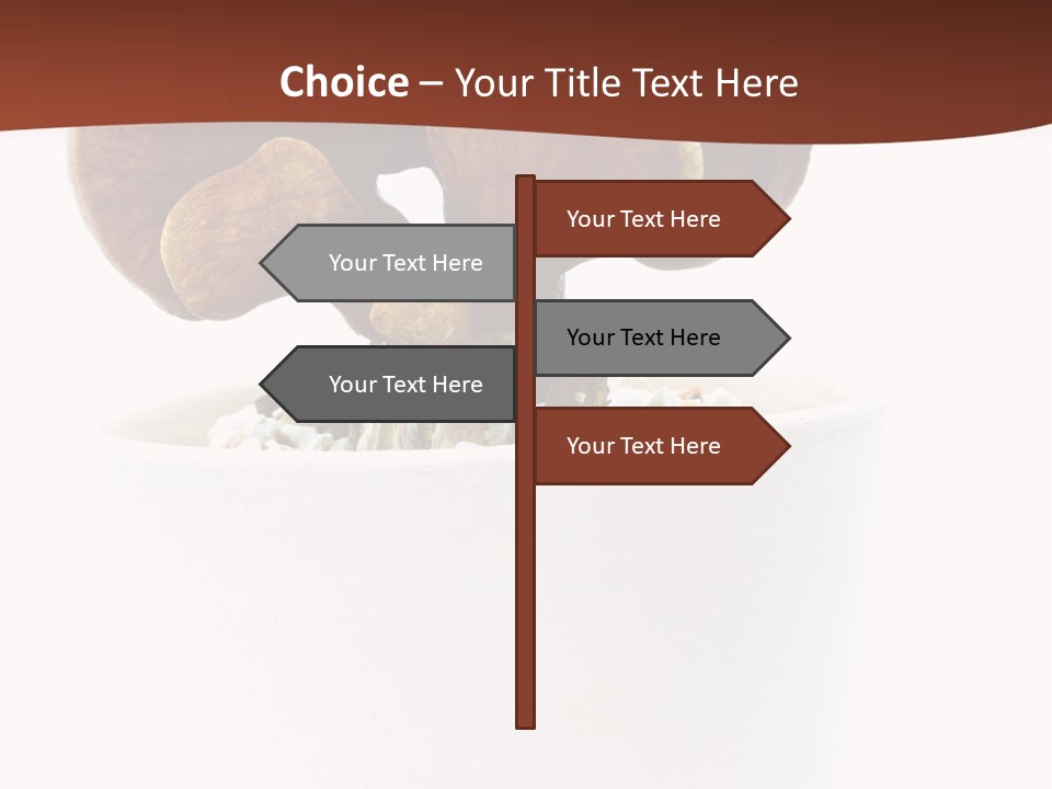 Mushroom Chinese Nature PowerPoint Template
