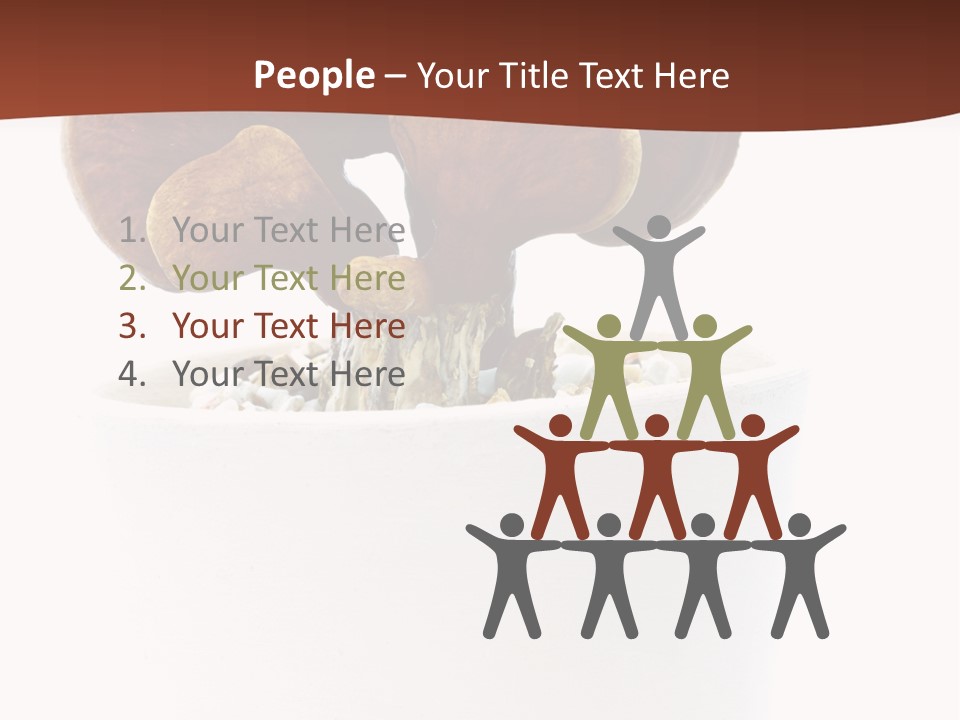 Mushroom Chinese Nature PowerPoint Template