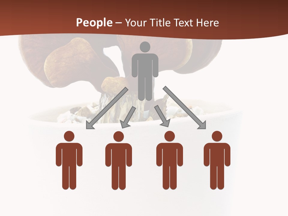 Mushroom Chinese Nature PowerPoint Template