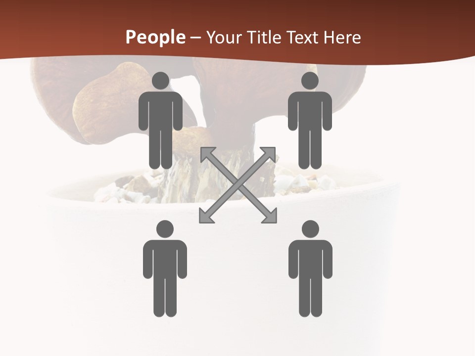 Mushroom Chinese Nature PowerPoint Template