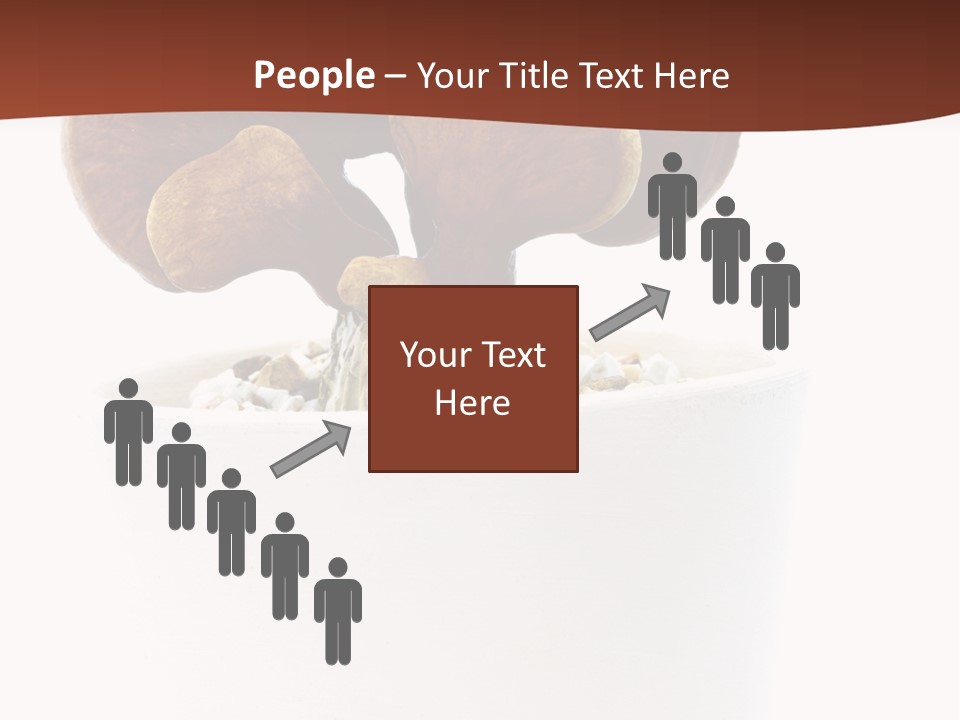 Mushroom Chinese Nature PowerPoint Template