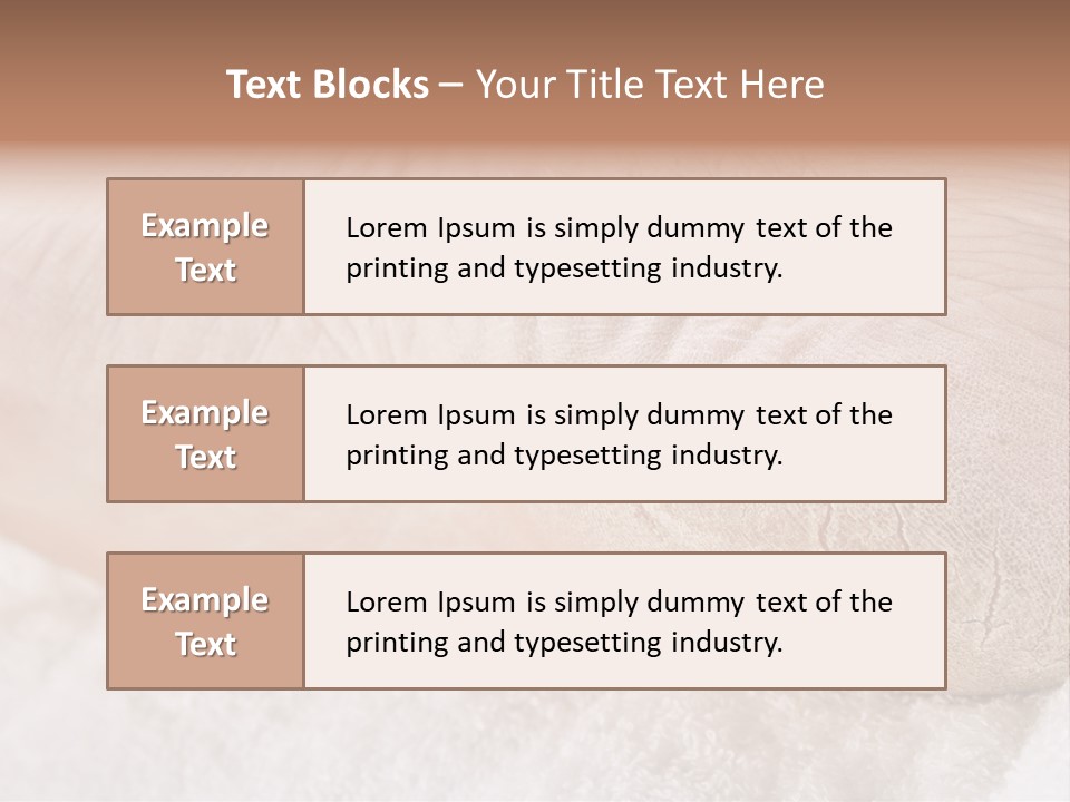 Toe Dry Closeup PowerPoint Template