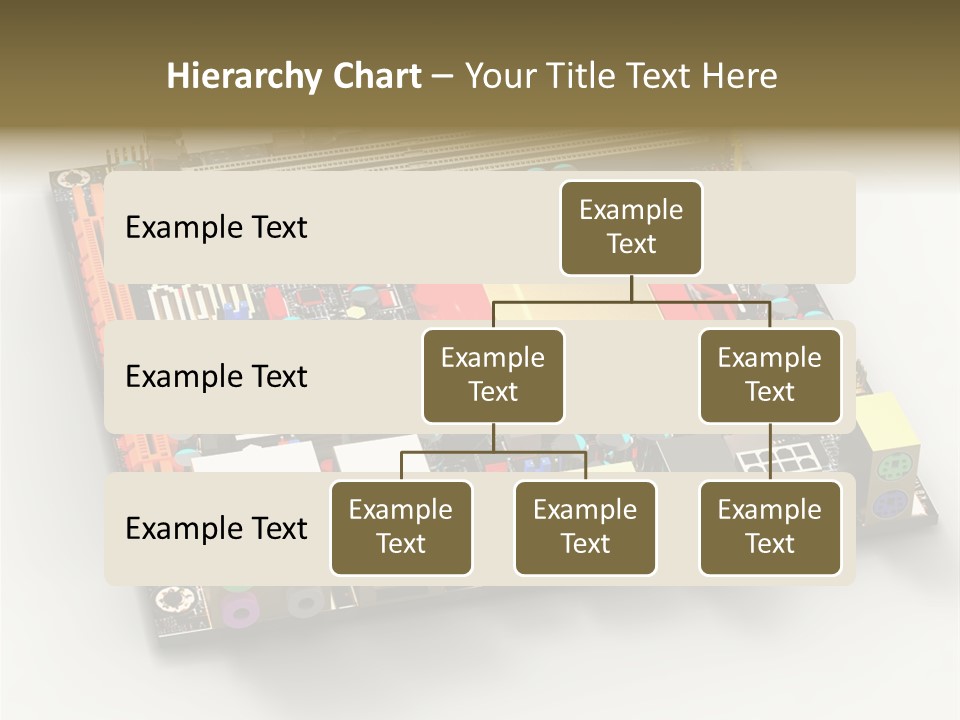 Closeup Graphic Integrated PowerPoint Template