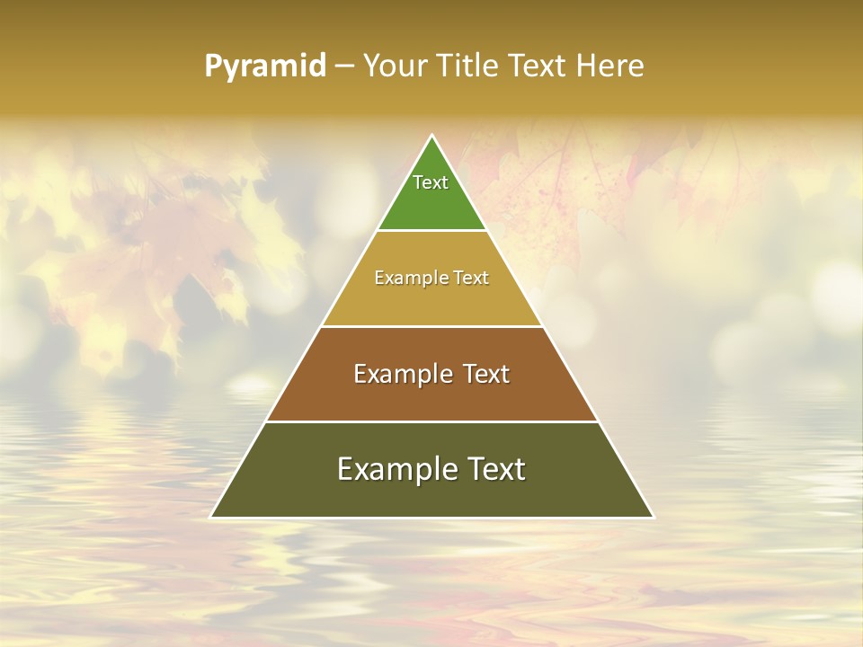 Vibrant Color Closeup PowerPoint Template