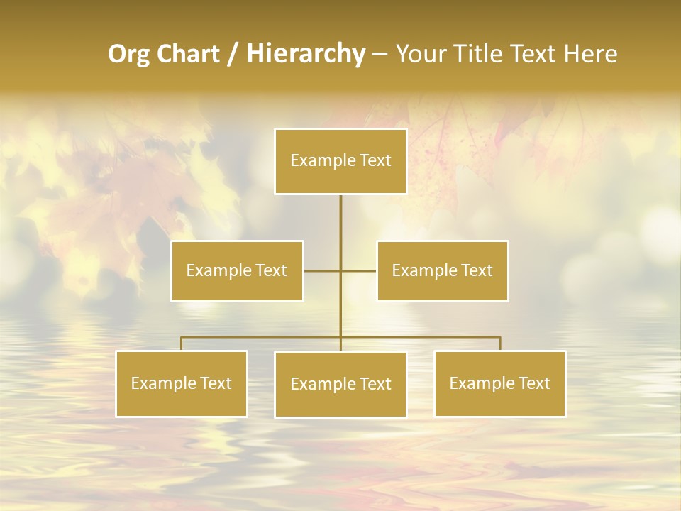 Vibrant Color Closeup PowerPoint Template