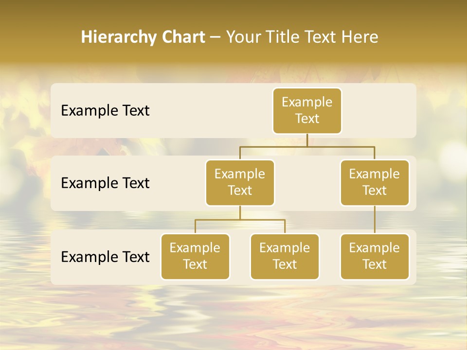 Vibrant Color Closeup PowerPoint Template