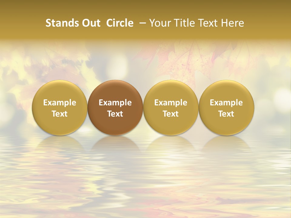 Vibrant Color Closeup PowerPoint Template