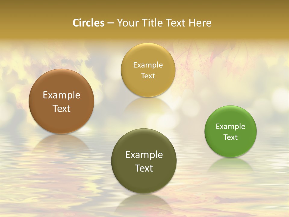 Vibrant Color Closeup PowerPoint Template