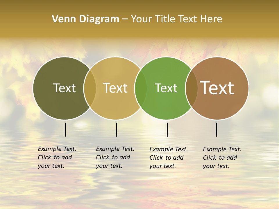 Vibrant Color Closeup PowerPoint Template