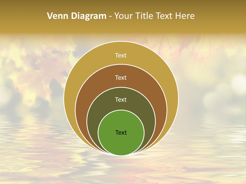 Vibrant Color Closeup PowerPoint Template