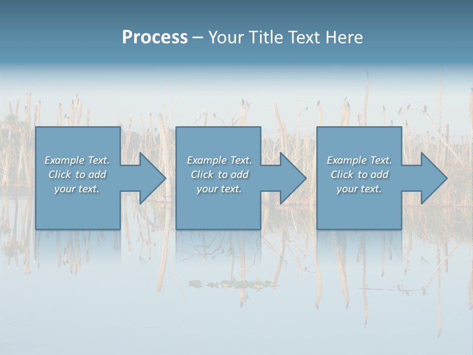 Wilderness Area Usa Beauty In Nature PowerPoint Template