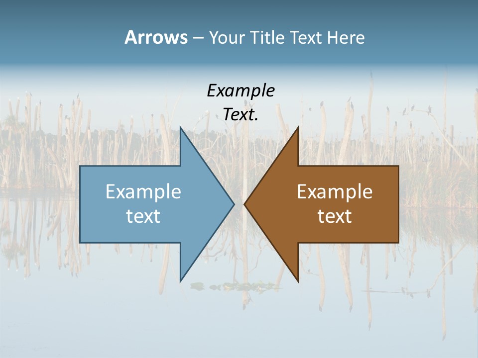 Wilderness Area Usa Beauty In Nature PowerPoint Template