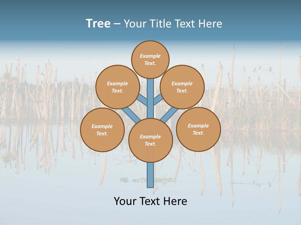 Wilderness Area Usa Beauty In Nature PowerPoint Template