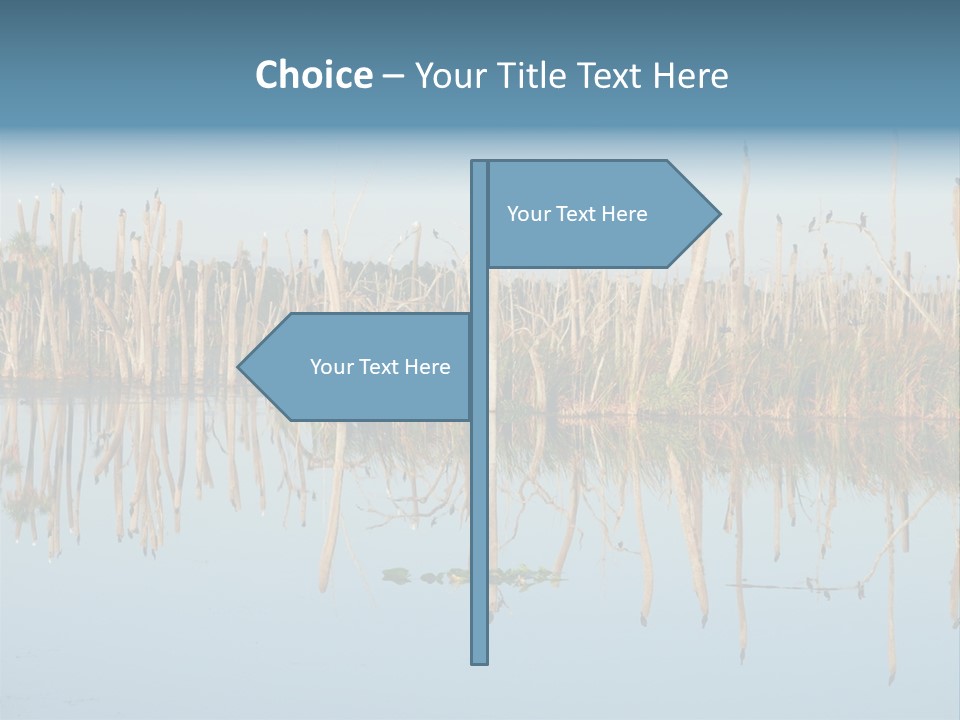 Wilderness Area Usa Beauty In Nature PowerPoint Template