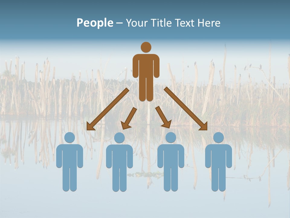 Wilderness Area Usa Beauty In Nature PowerPoint Template