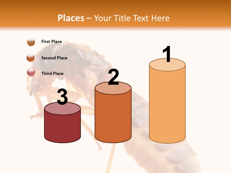 Bunch Macro Wing PowerPoint Template