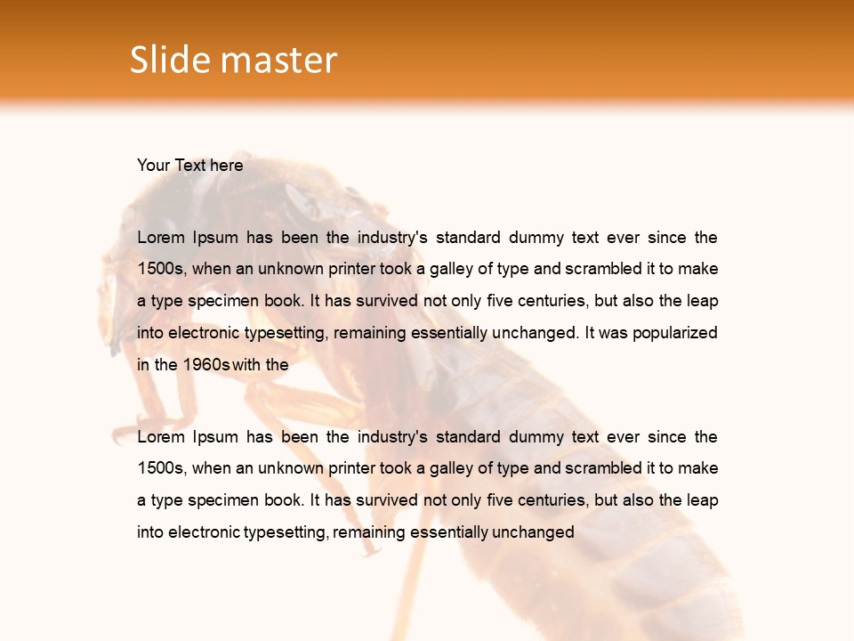 Bunch Macro Wing PowerPoint Template