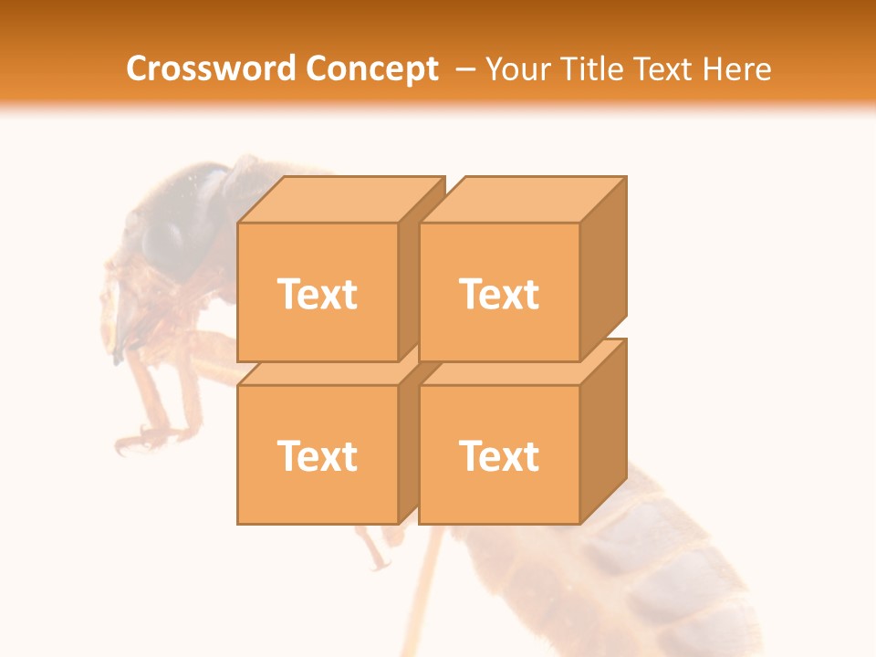 Bunch Macro Wing PowerPoint Template