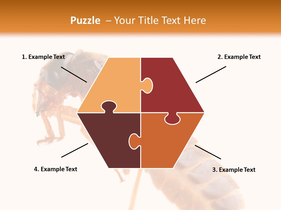 Bunch Macro Wing PowerPoint Template