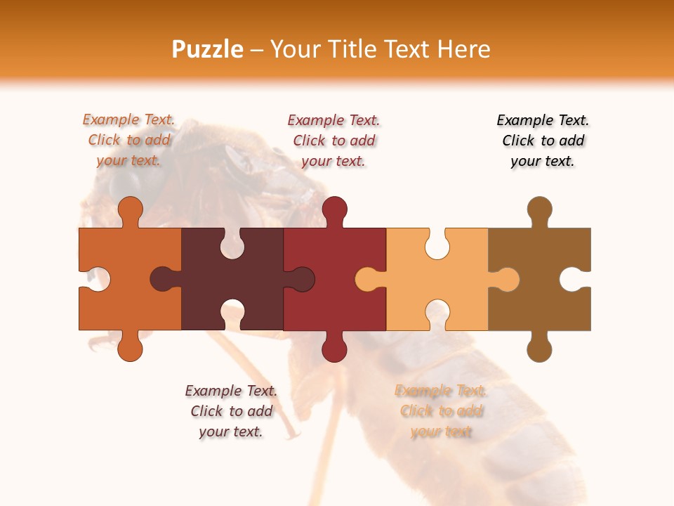 Bunch Macro Wing PowerPoint Template