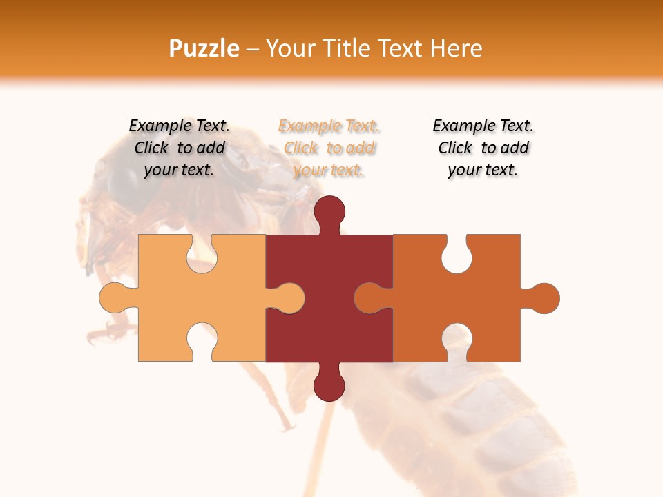 Bunch Macro Wing PowerPoint Template