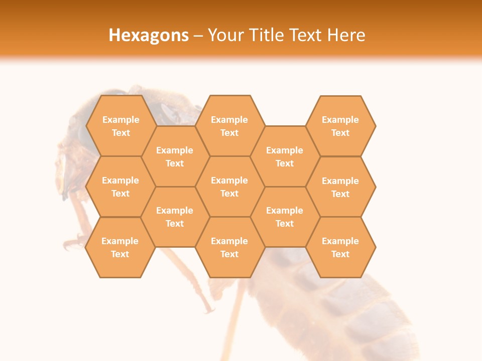 Bunch Macro Wing PowerPoint Template