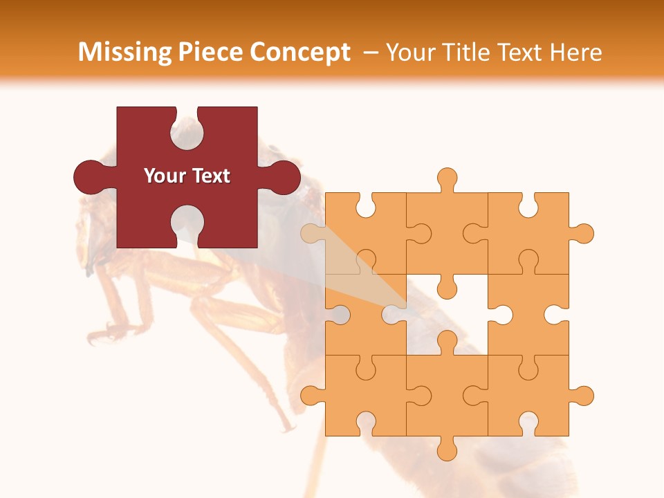 Bunch Macro Wing PowerPoint Template