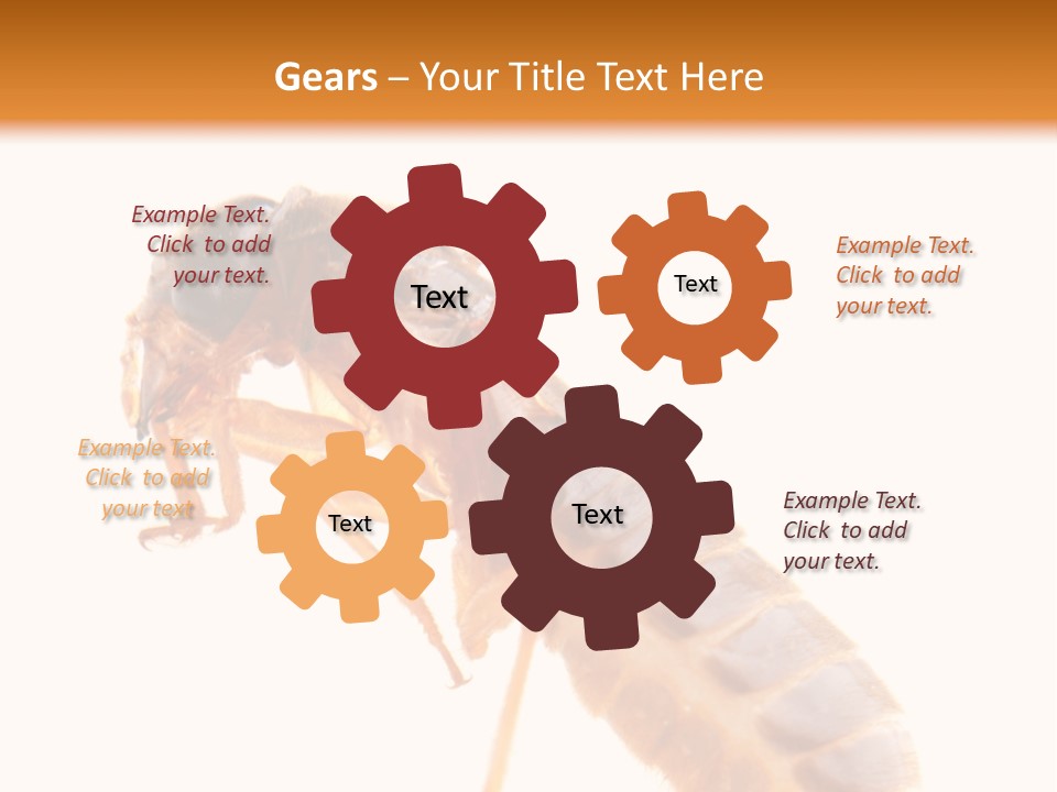 Bunch Macro Wing PowerPoint Template