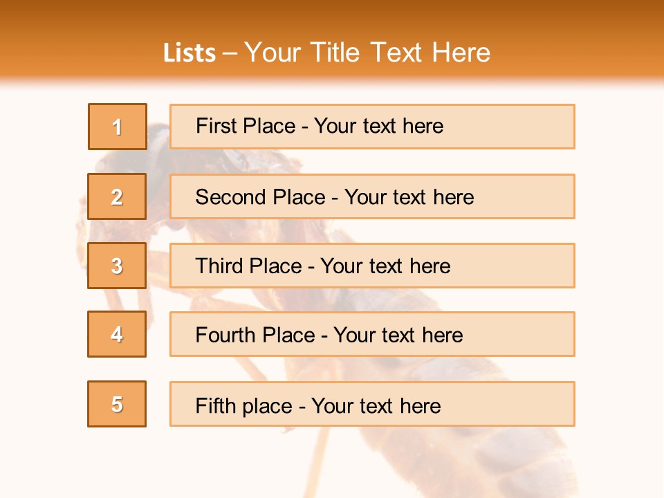 Bunch Macro Wing PowerPoint Template