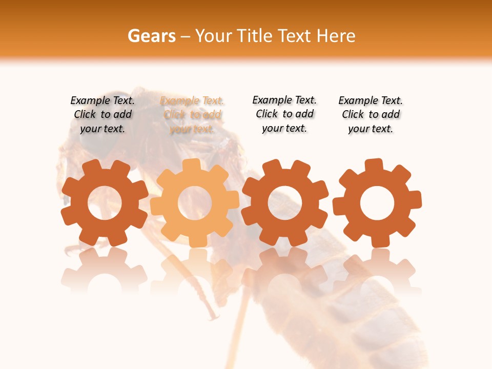 Bunch Macro Wing PowerPoint Template