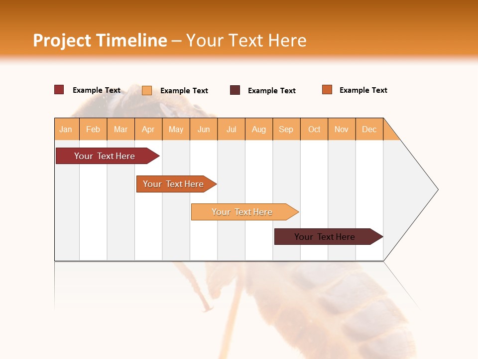 Bunch Macro Wing PowerPoint Template