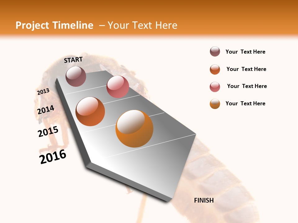 Bunch Macro Wing PowerPoint Template
