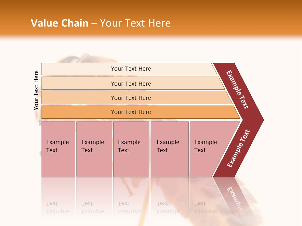 Bunch Macro Wing PowerPoint Template