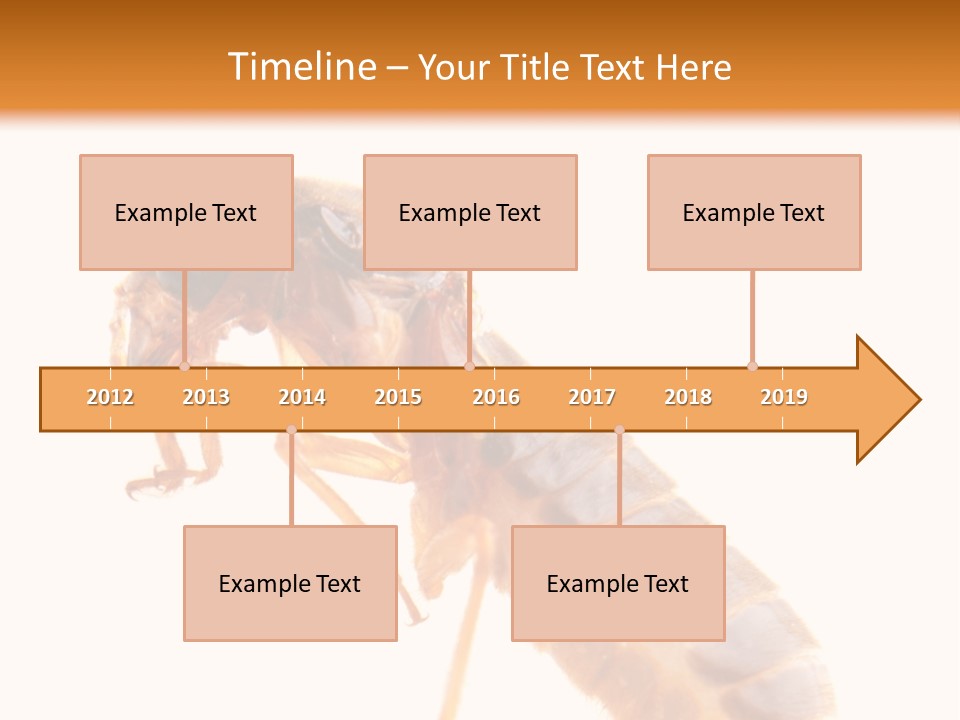 Bunch Macro Wing PowerPoint Template