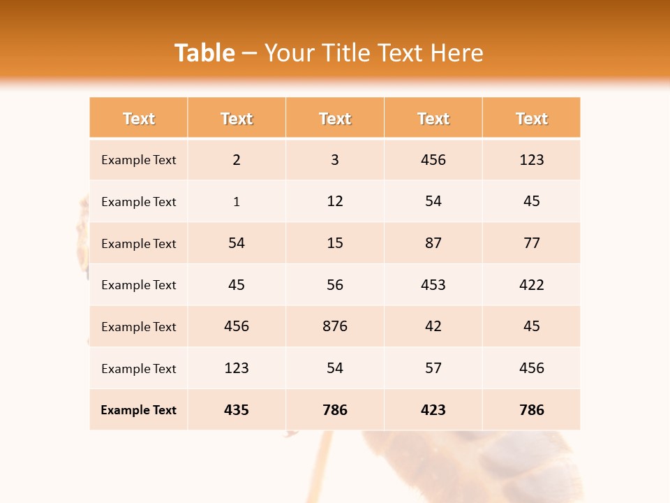 Bunch Macro Wing PowerPoint Template