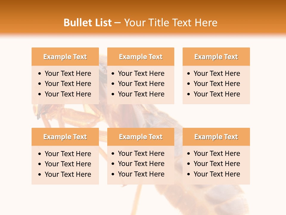 Bunch Macro Wing PowerPoint Template