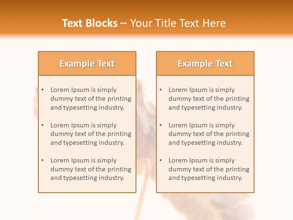 Bunch Macro Wing PowerPoint Template