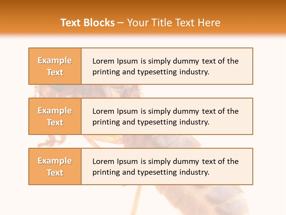 Bunch Macro Wing PowerPoint Template