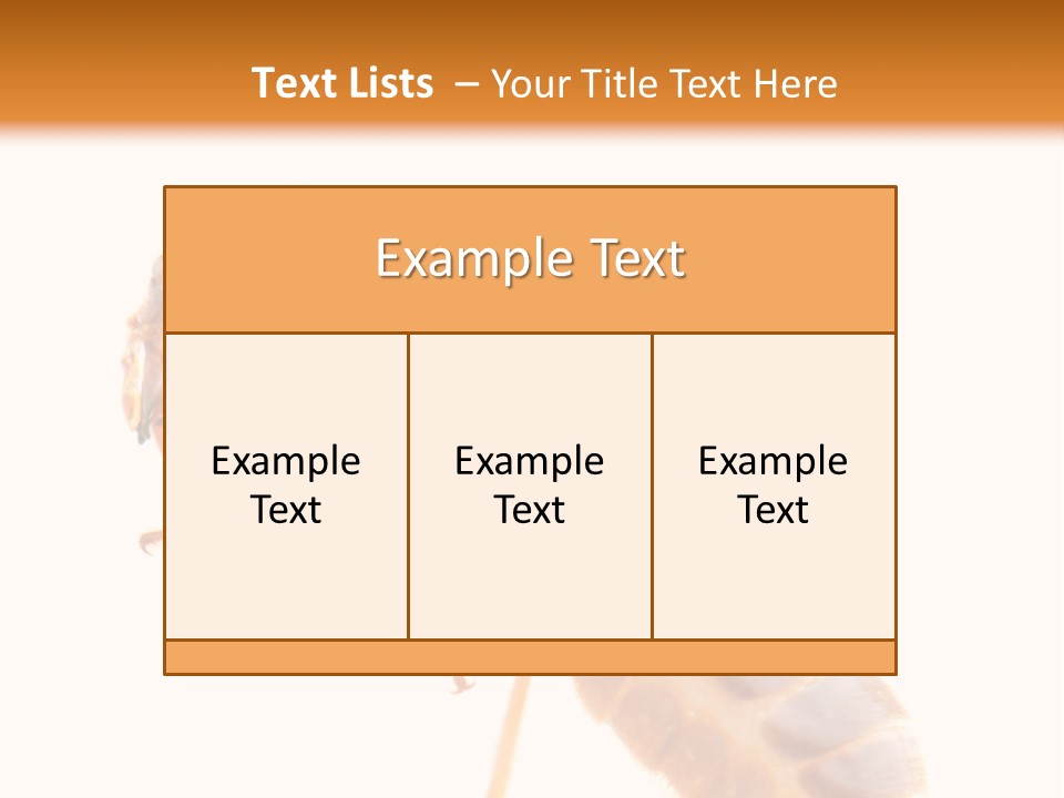 Bunch Macro Wing PowerPoint Template