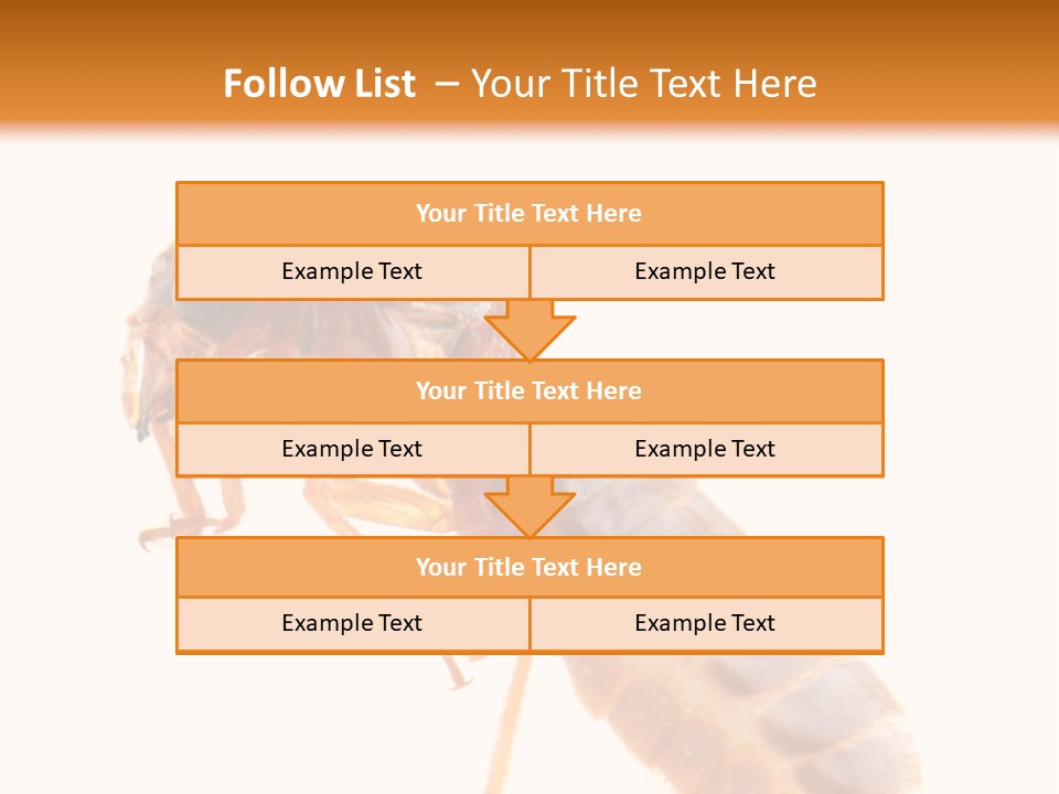 Bunch Macro Wing PowerPoint Template