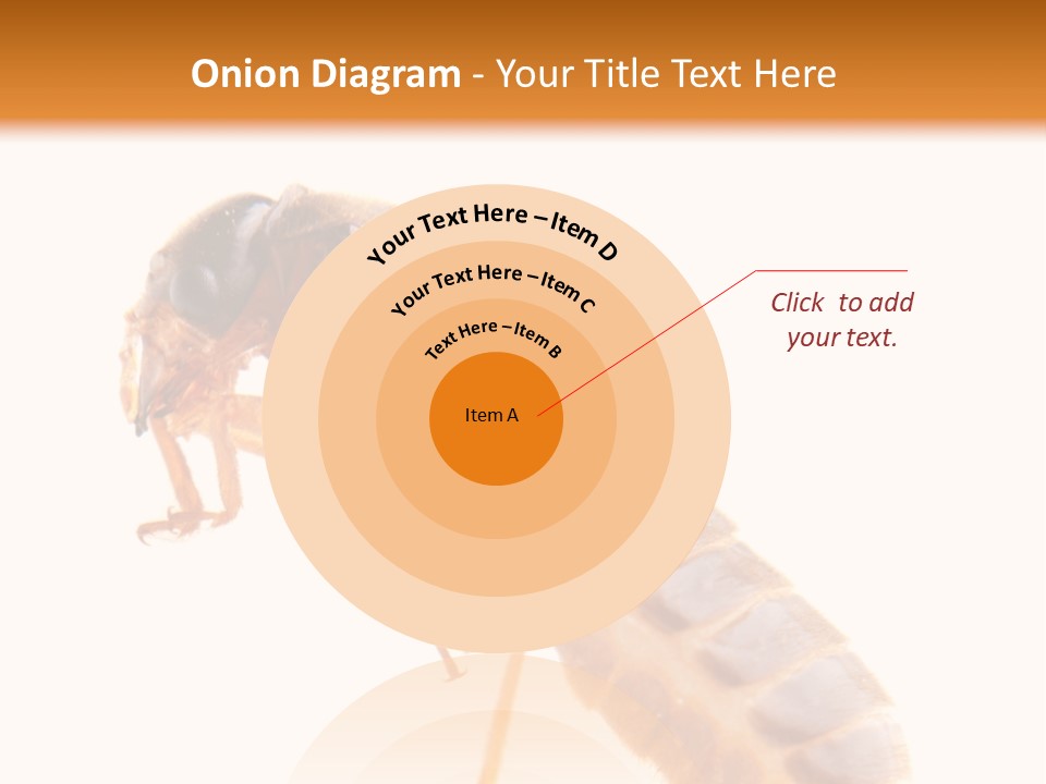 Bunch Macro Wing PowerPoint Template