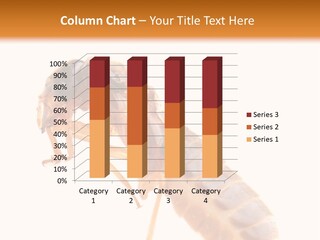 Bunch Macro Wing PowerPoint Template