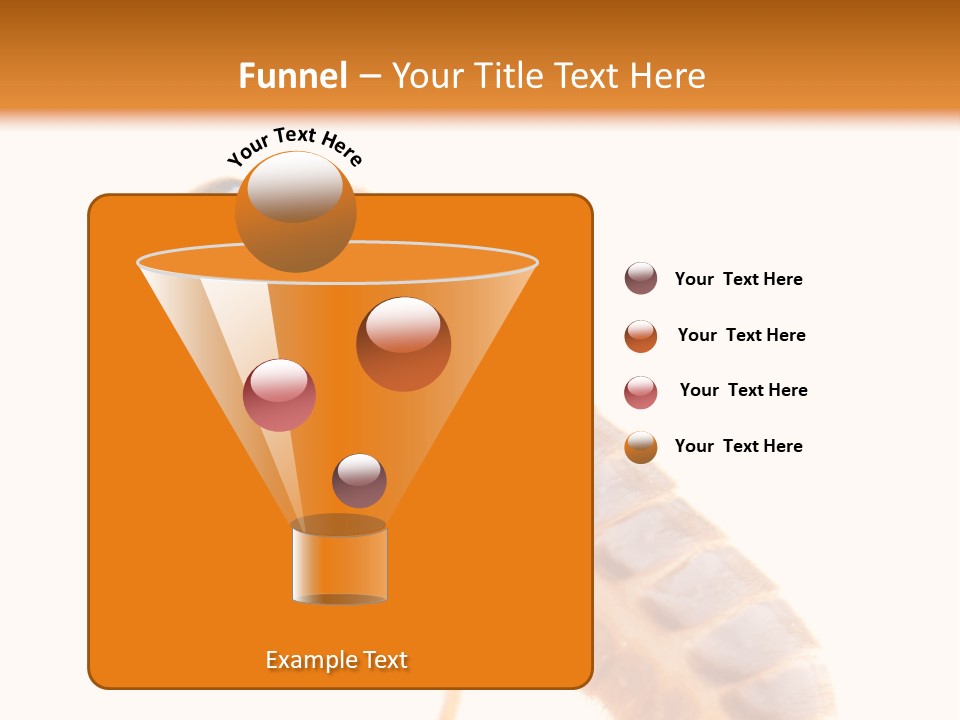 Bunch Macro Wing PowerPoint Template