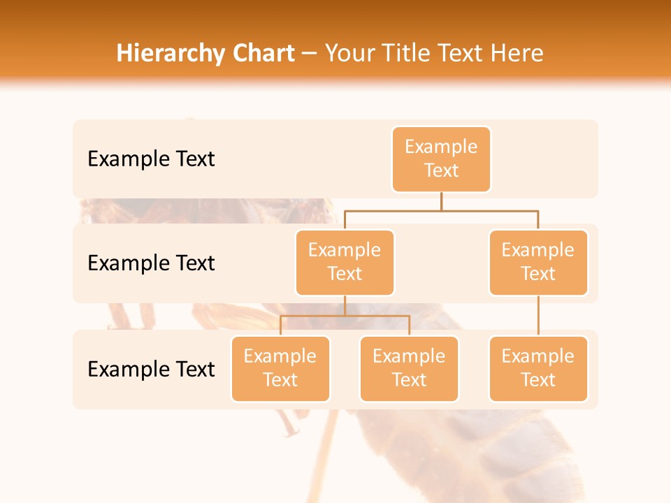 Bunch Macro Wing PowerPoint Template