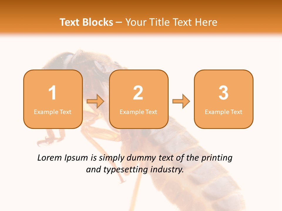 Bunch Macro Wing PowerPoint Template